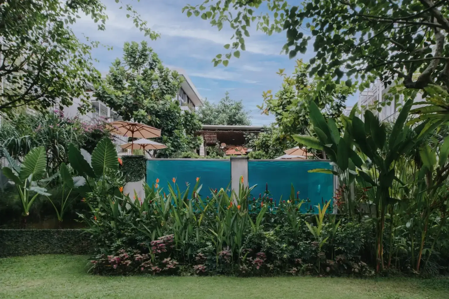 The Iconic Glass Walled Swimming Pool at Rimbun Canggu Hotel