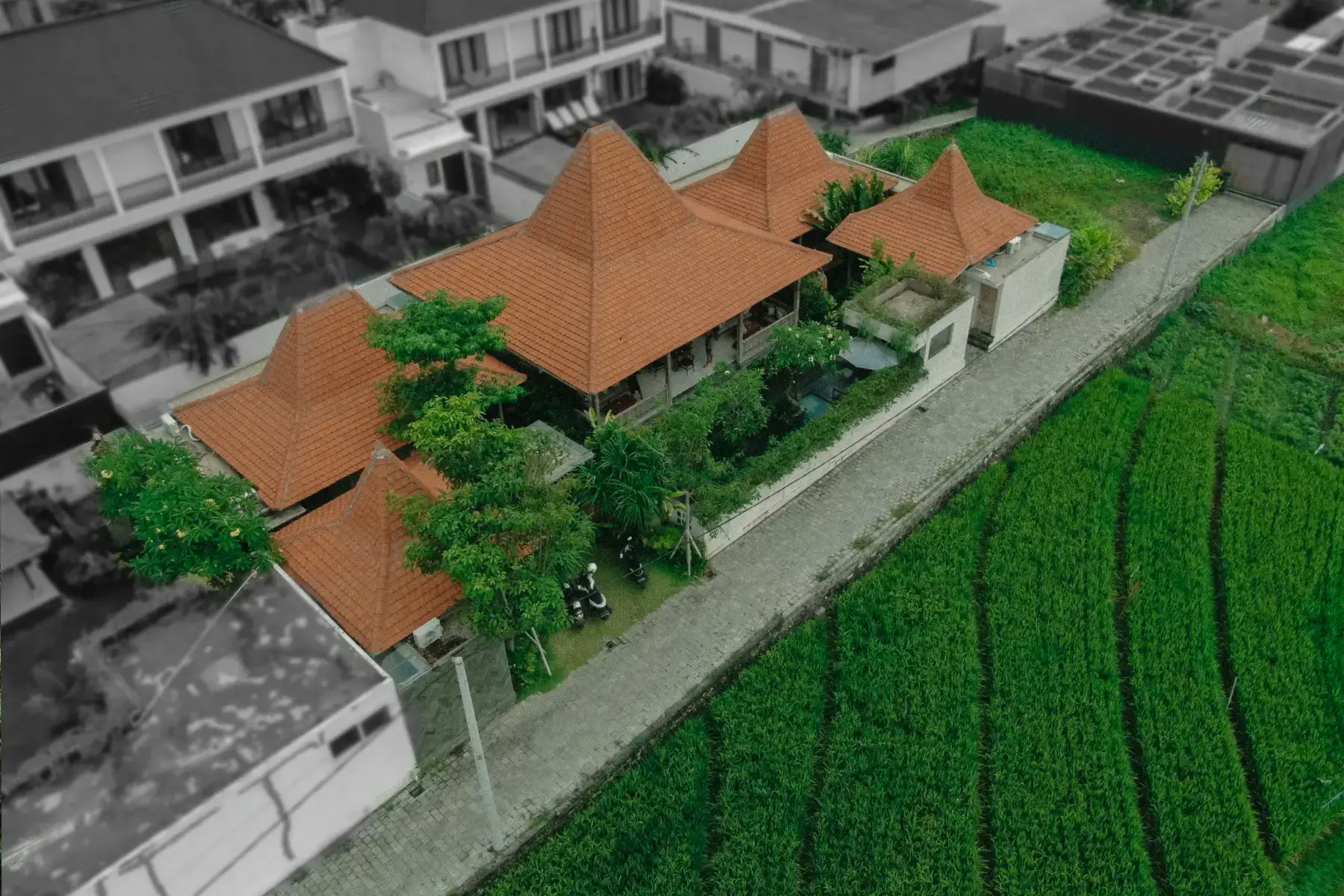 Aerial Landscape View of Rimbun Canggu Joglo Villas surrounded by Rice Fields in Bali