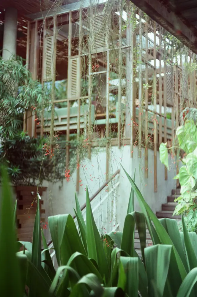 The distinctive multi-level wooden architecture of Rimbun Hotel in Canggu, viewed from the garden. The facade features louvered wooden shutters and is adorned with beautiful hanging vines, highlighting its eco-modern Balinese design.