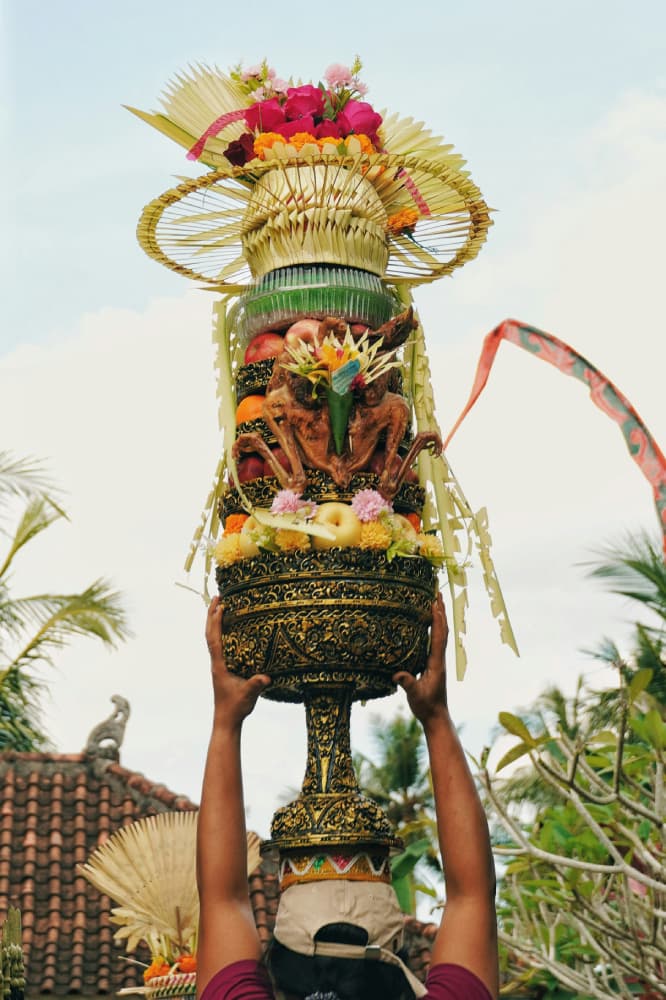 A person balancing an elaborate Balinese banten or gebogan offering on their head, featuring layers of fruit, flowers, and a roasted chicken.